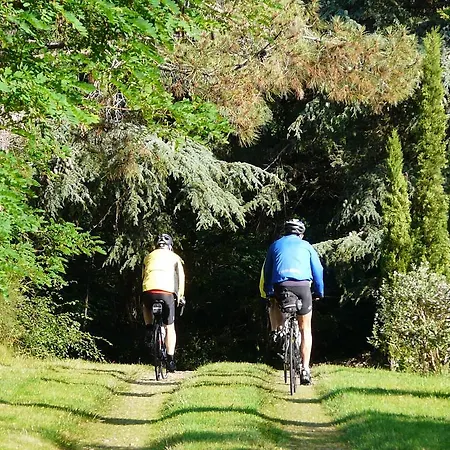 Chateau De La Comtesse בית נופש *