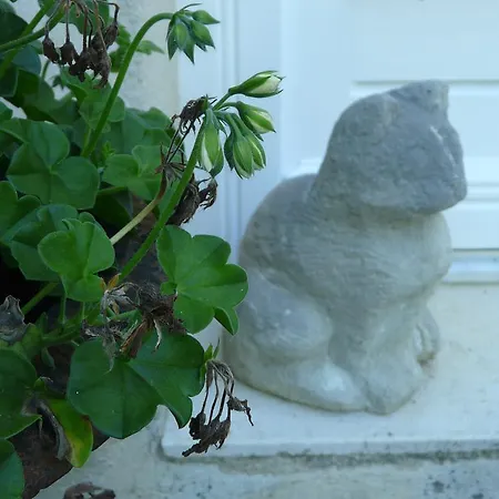 Chateau De La Comtesse Saint-Martin-Petit