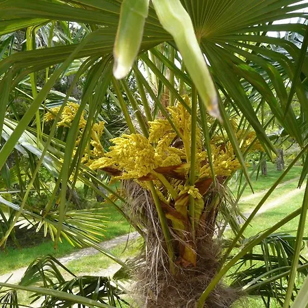 Chateau De La Comtesse * Saint-Martin-Petit