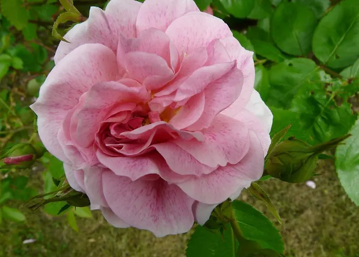 Prázdninový dům Chateau De La Comtesse Saint-Martin-Petit