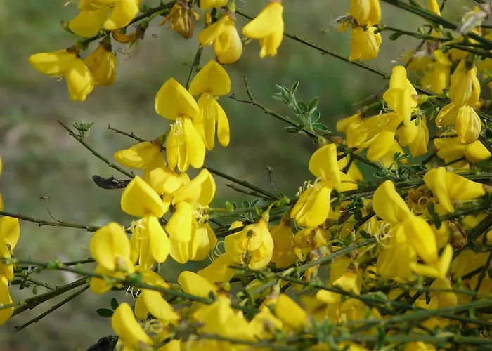 Prázdninový dům Chateau De La Comtesse Saint-Martin-Petit