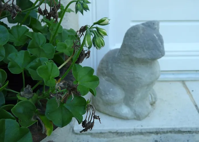 Chateau De La Comtesse Saint-Martin-Petit